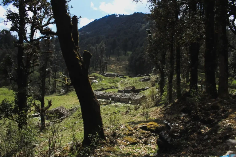 Eucalyptus Forest Picnic + Pucará Torito Painting Workshop