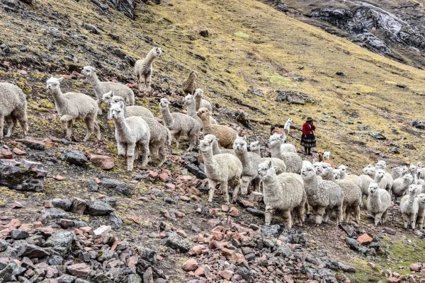 Cusco – Pacchanta – Seven Lakes Circuit – Hot Springs – Cusco