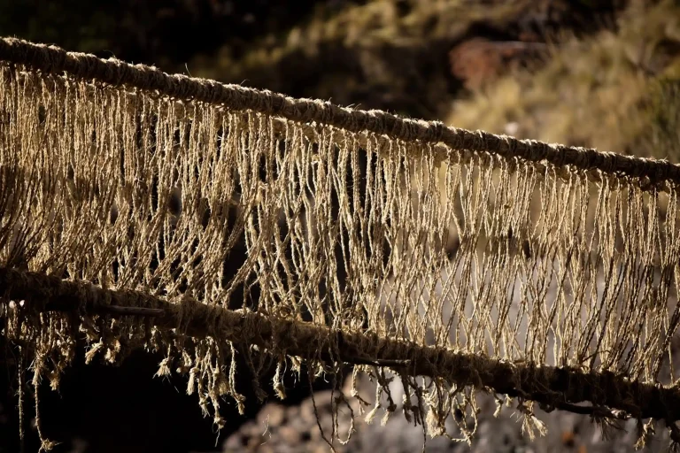Q’eswachaka: The Last Inca Bridge Full Day Tour